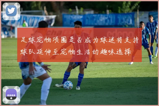 足球宠物项圈是否成为球迷将支持球队延伸至宠物生活的趣味选择