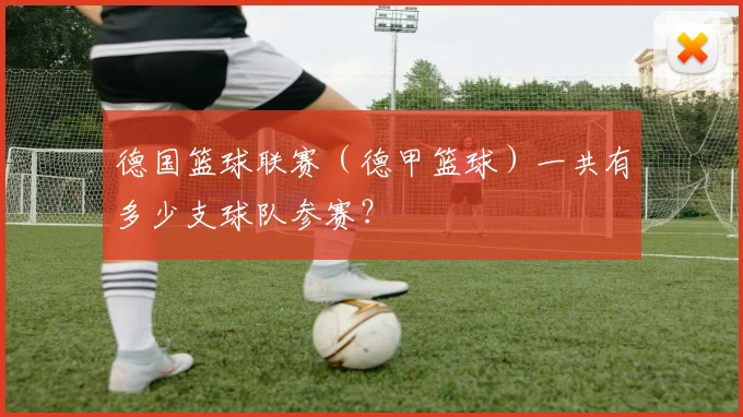 德国篮球联赛（德甲篮球）一共有多少支球队参赛？