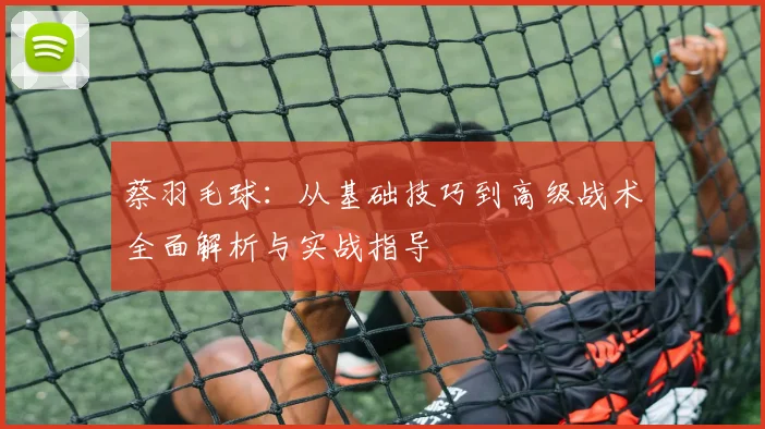 蔡羽毛球：从基础技巧到高级战术全面解析与实战指导