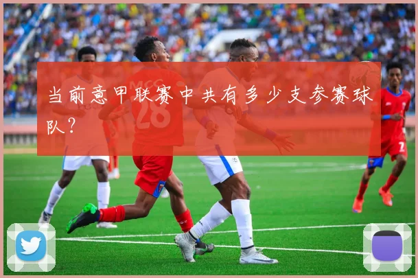 当前意甲联赛中共有多少支参赛球队？