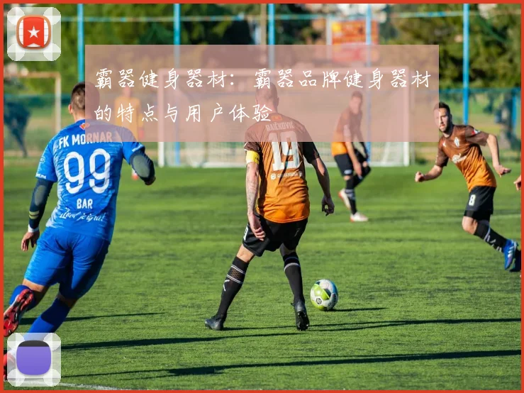 霸器健身器材:霸器品牌健身器材的特点与用户体验